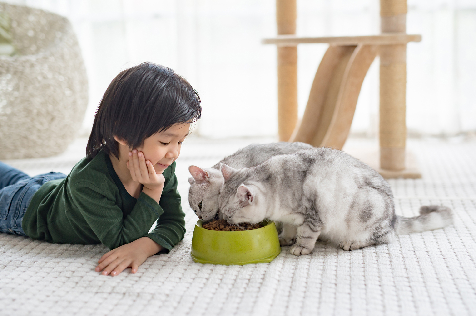 人とペットの豊かな時の架け橋を目指す